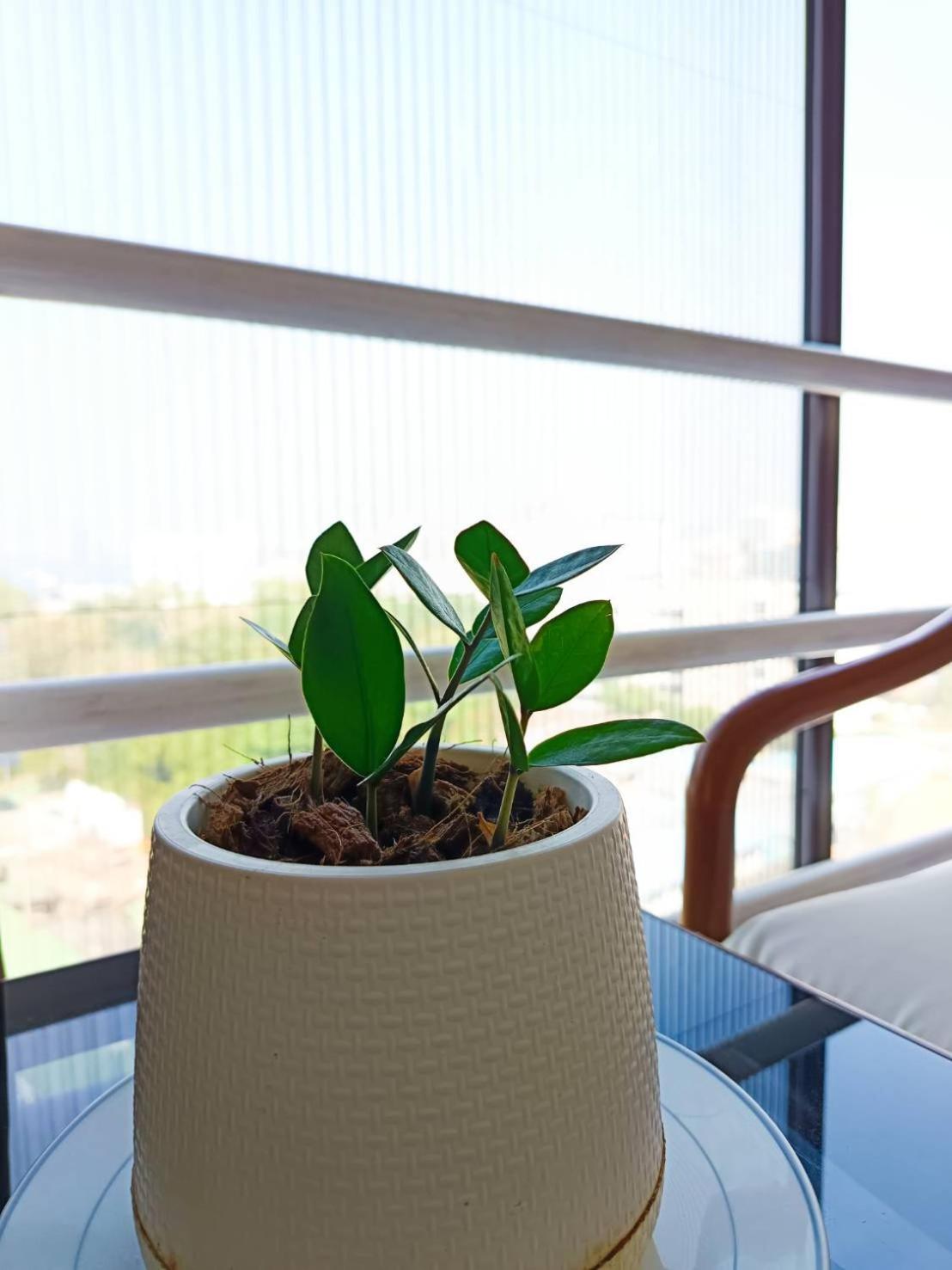 The Monaco Residence Pattaya Ngoại thất bức ảnh